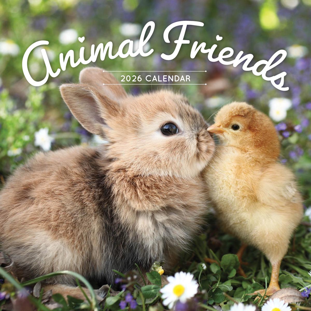Paper Pocket Animal Friends 2026 Calendar