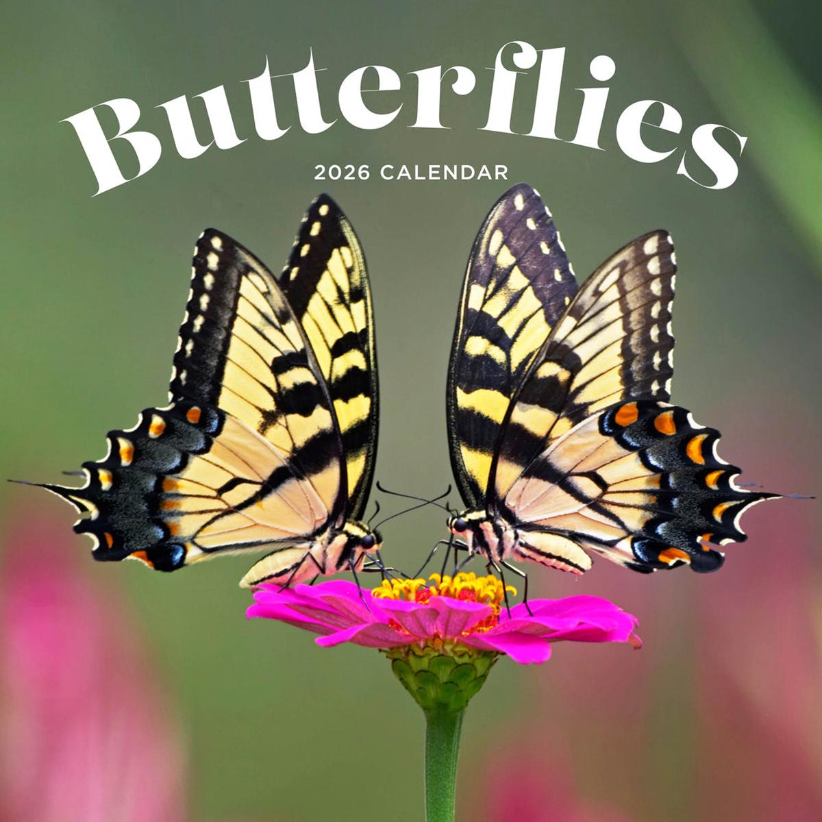 Paper Pocket Butterflies 2026 Calendar