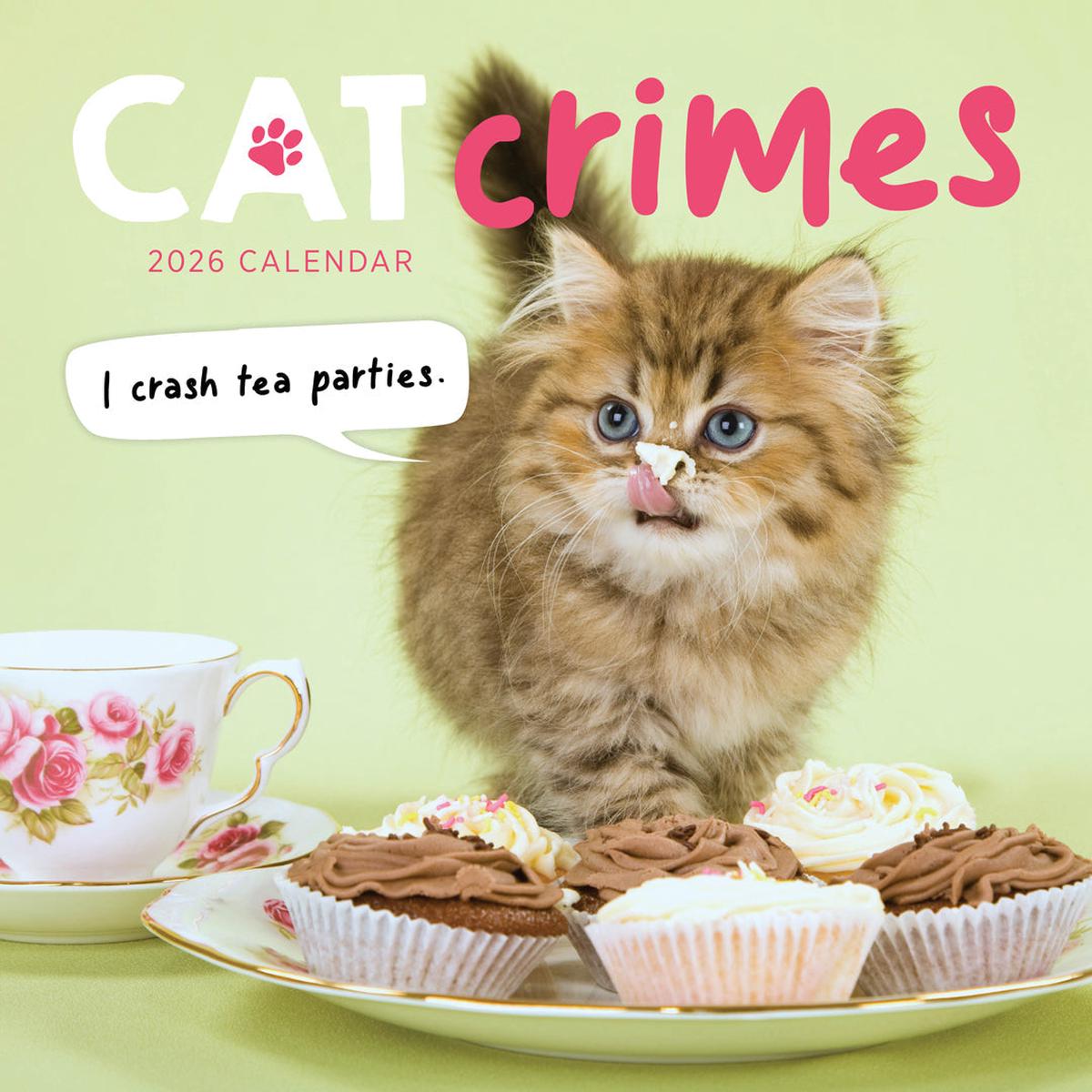 Paper Pocket Cat Crimes 2026 Calendar