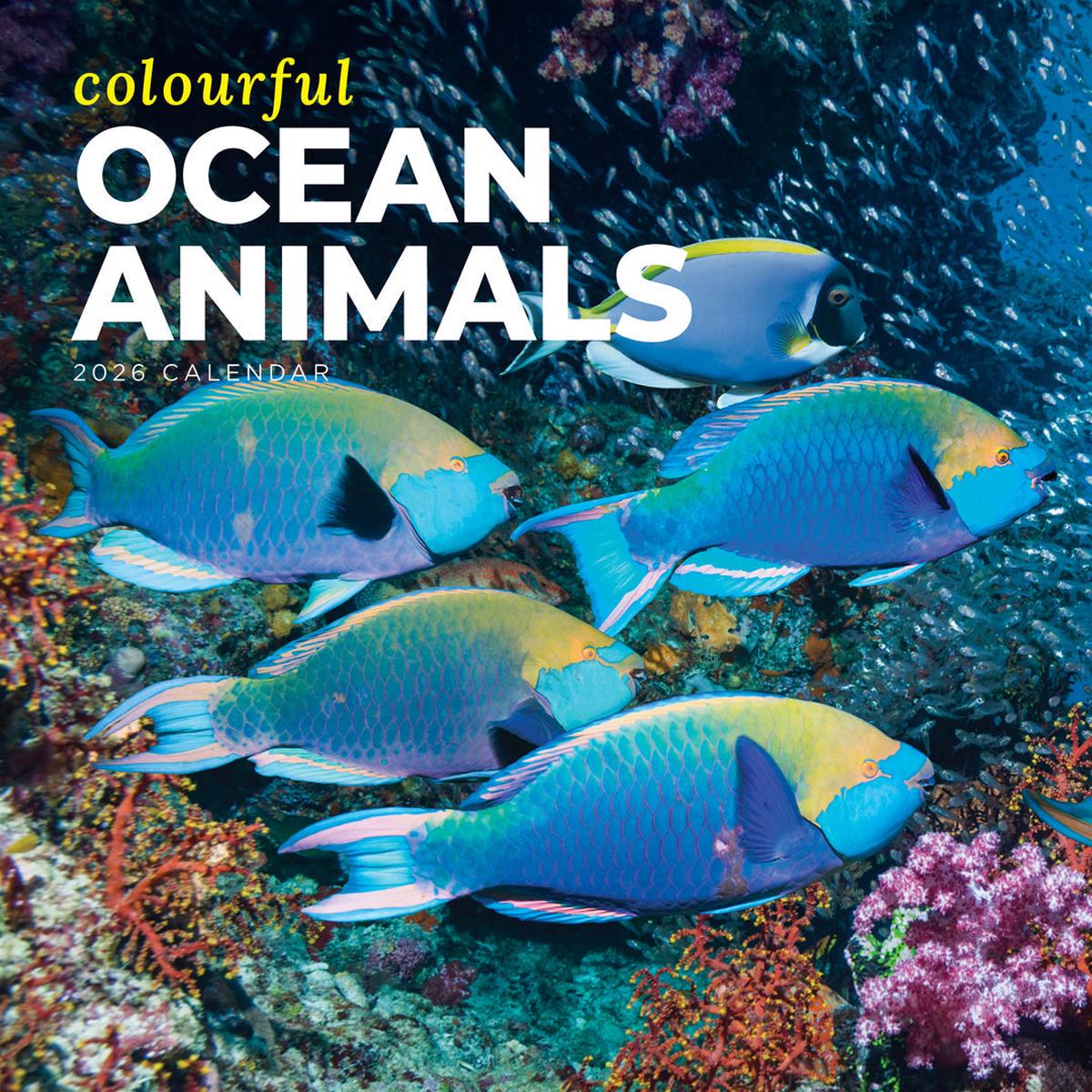 Paper Pocket Colourful Ocean Animals 2026 Calendar