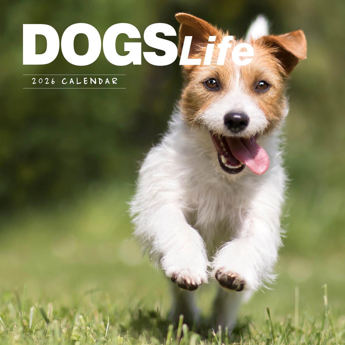 Paper Pocket Dogs Life 2026 Calendar
