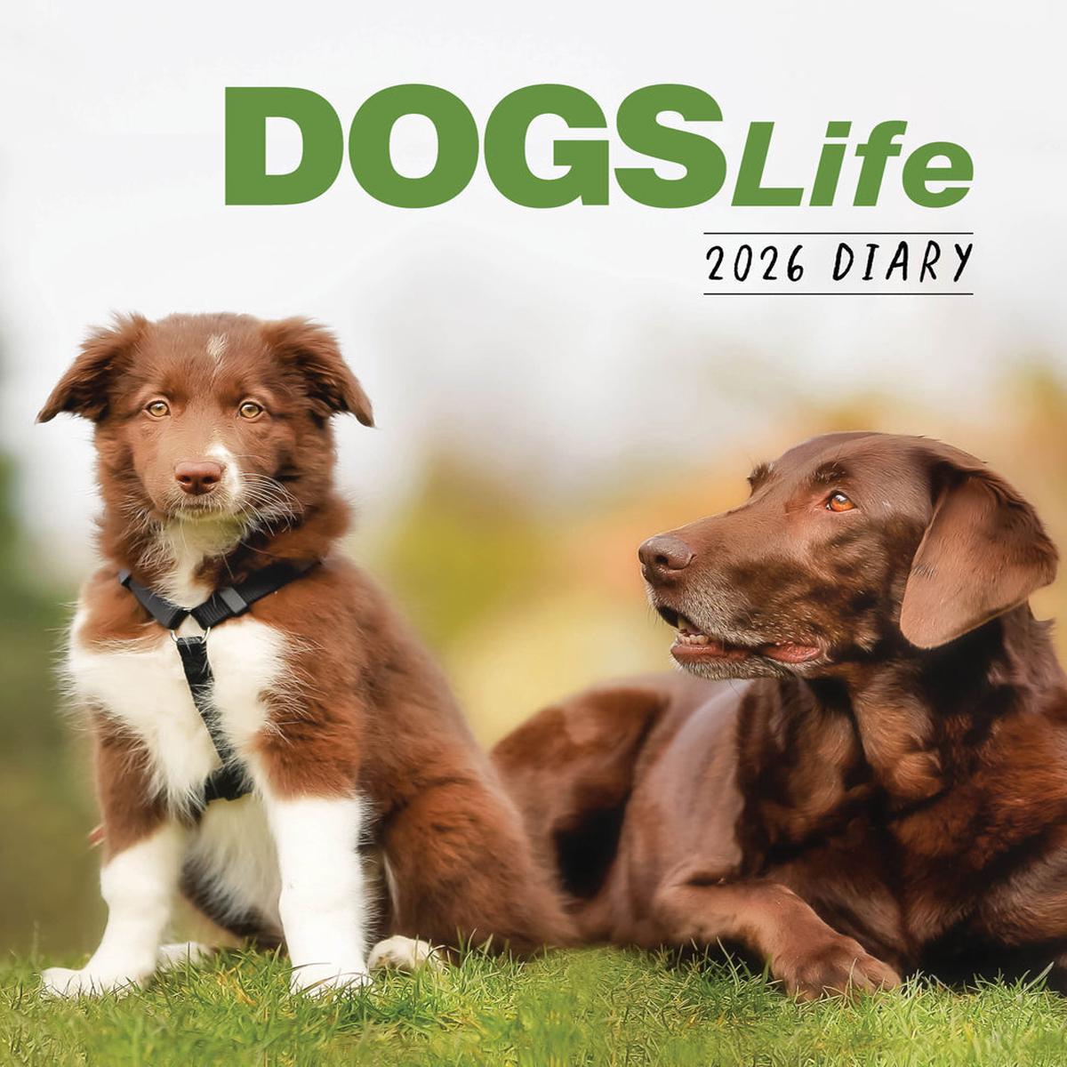 Paper Pocket Dogs Life 2026 Diary