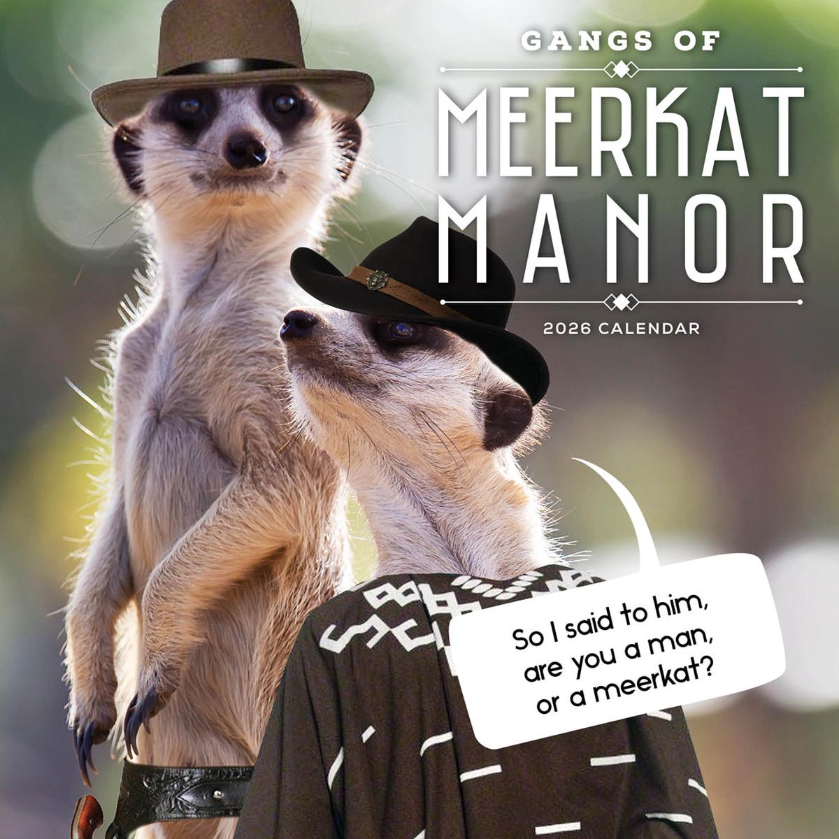 Paper Pocket Gangs of Meerkat Manor 2026 Calendar