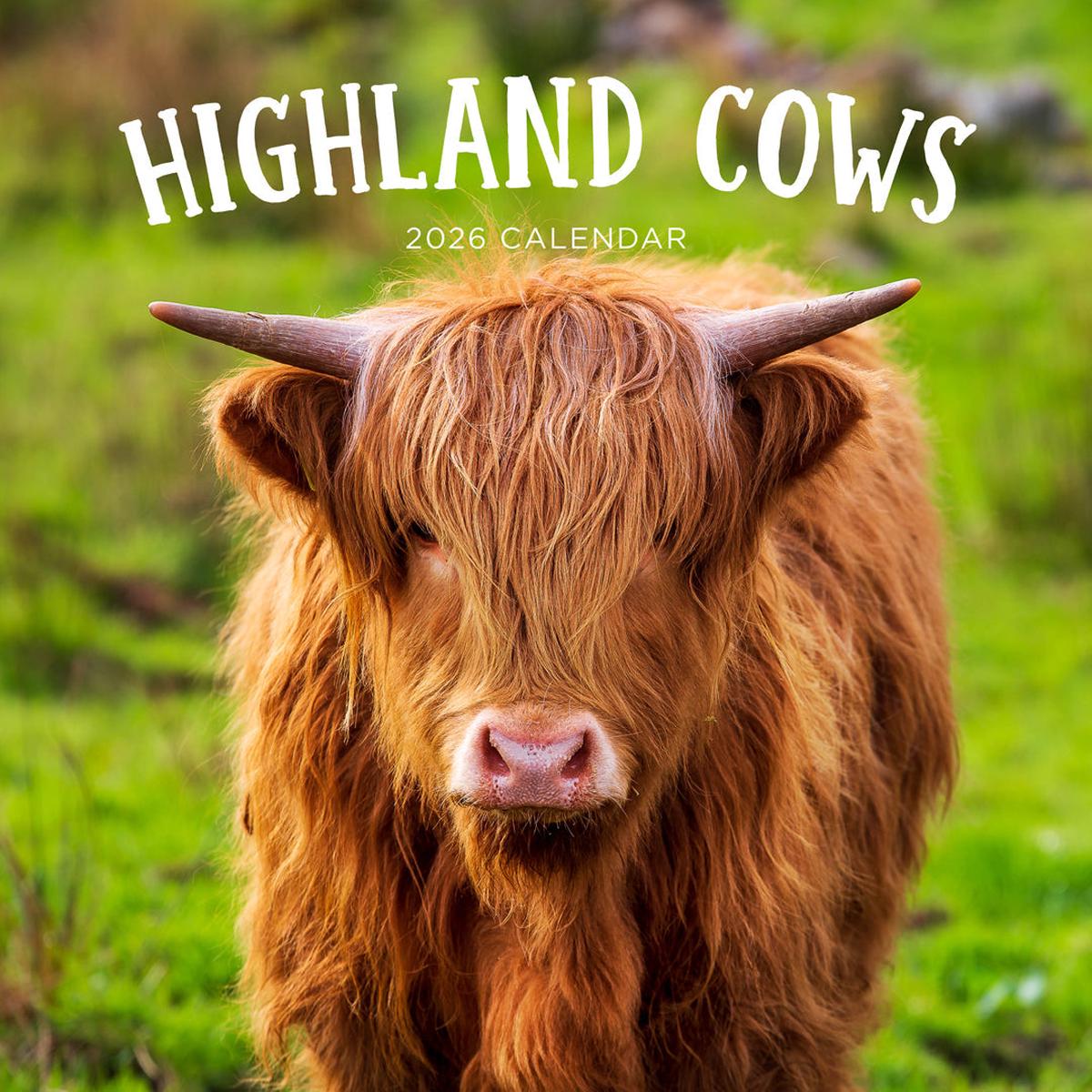 Paper Pocket Highland Cows 2026 Calendar