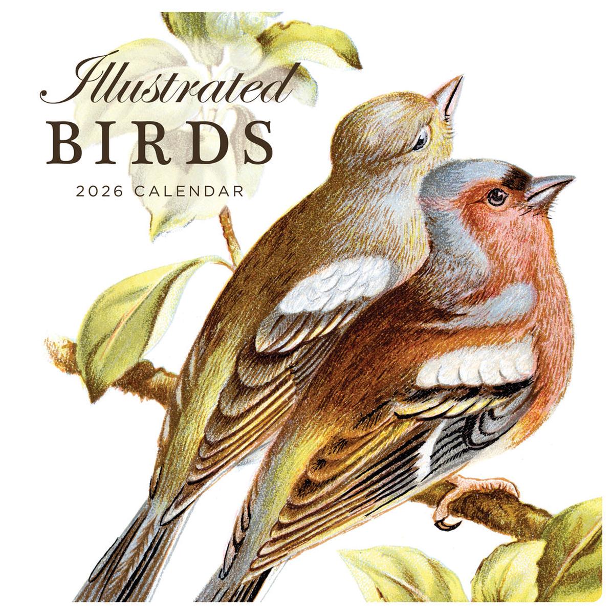 Paper Pocket Illustrated Birds 2026 Calendar