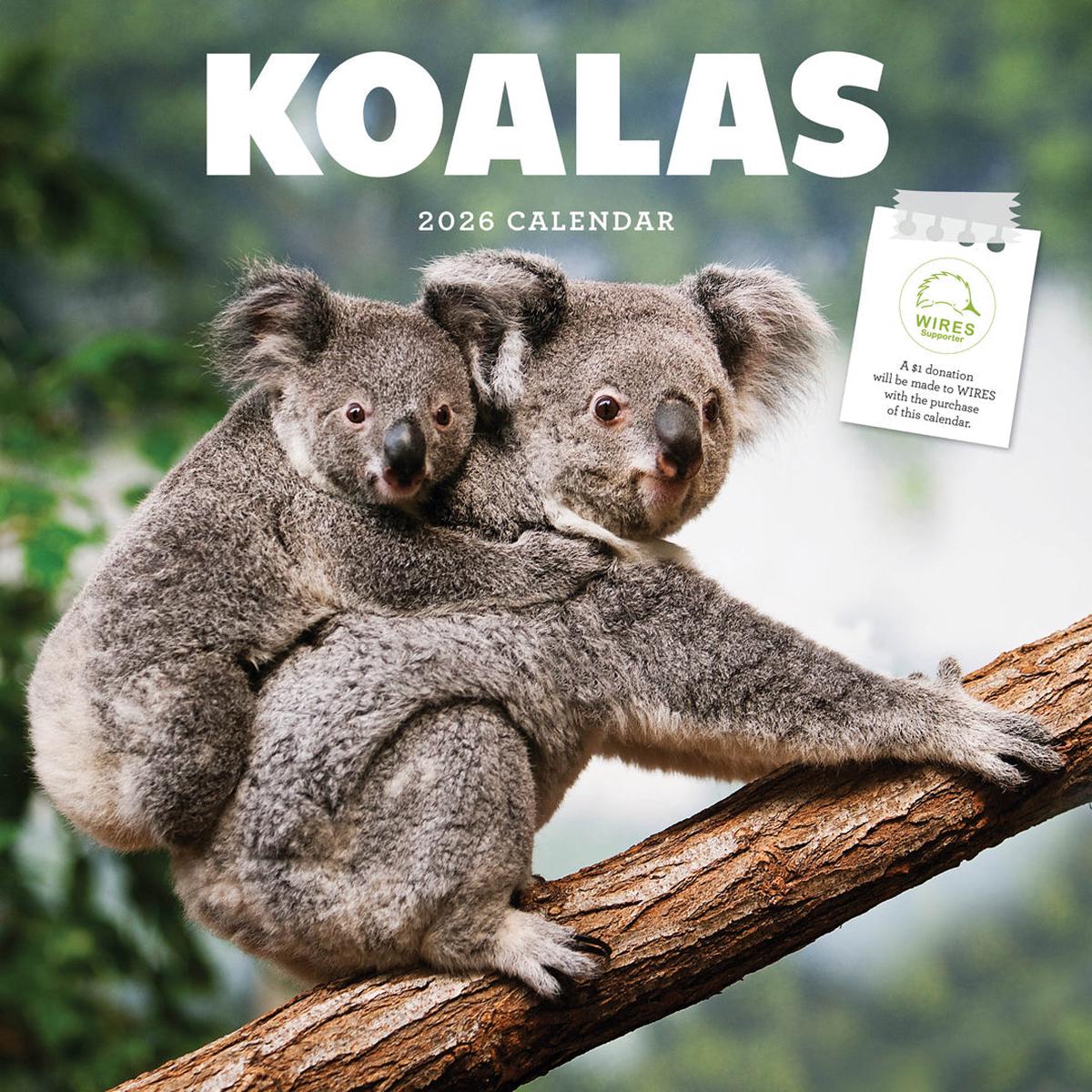 Paper Pocket Koalas 2026 Calendar