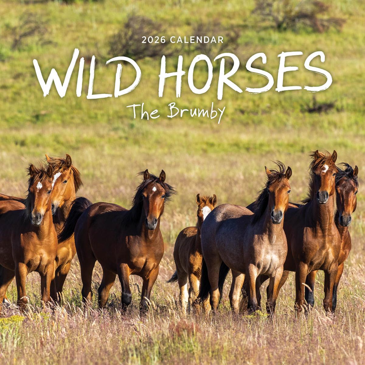 Paper Pocket Our Australia Wild Horses 2026 Calendar