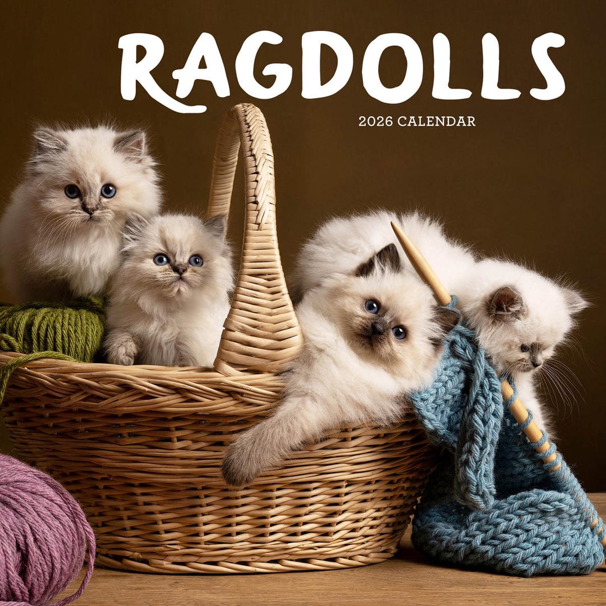 Paper Pocket Ragdolls 2026 Calendar