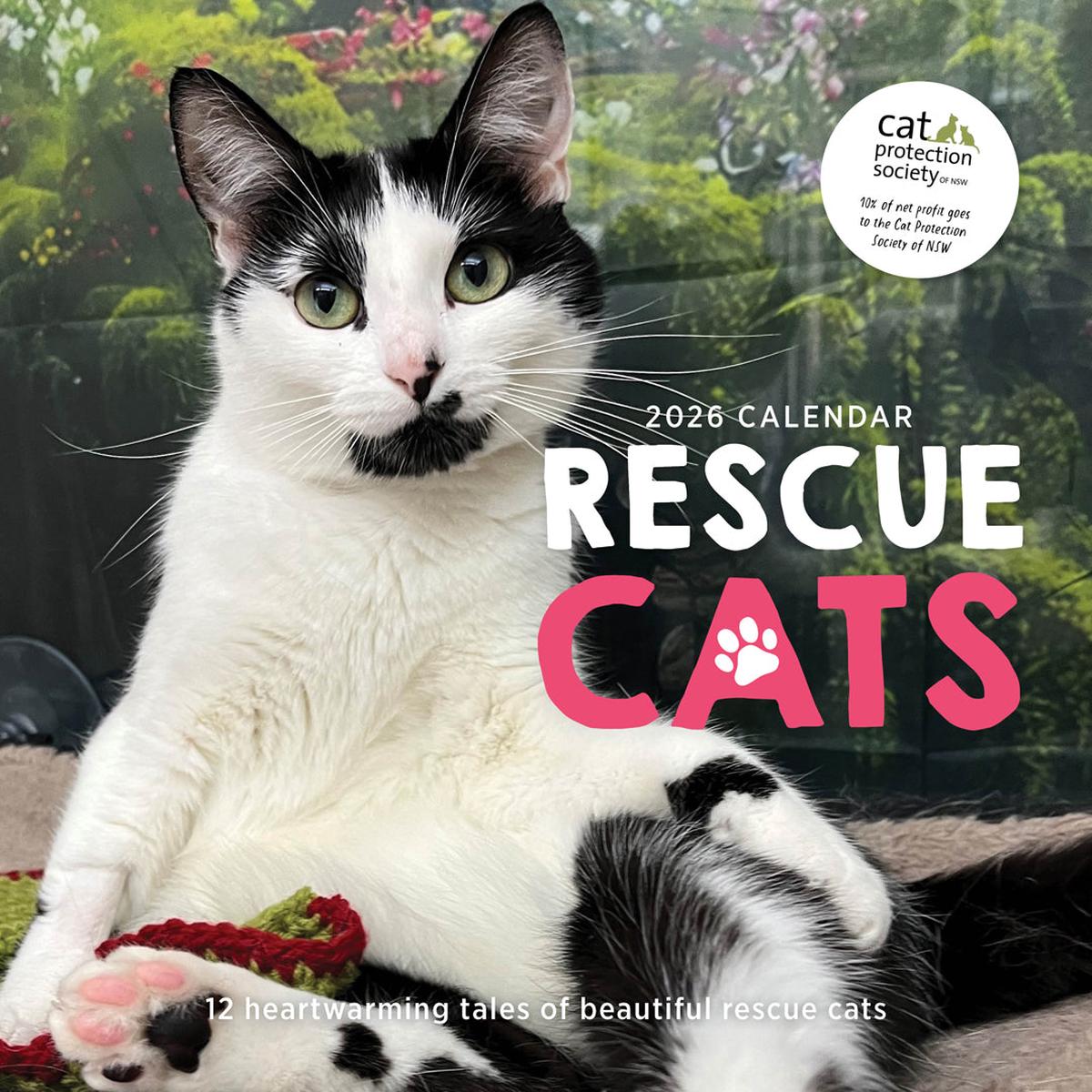 Paper Pocket Rescue Cats 2026 Calendar