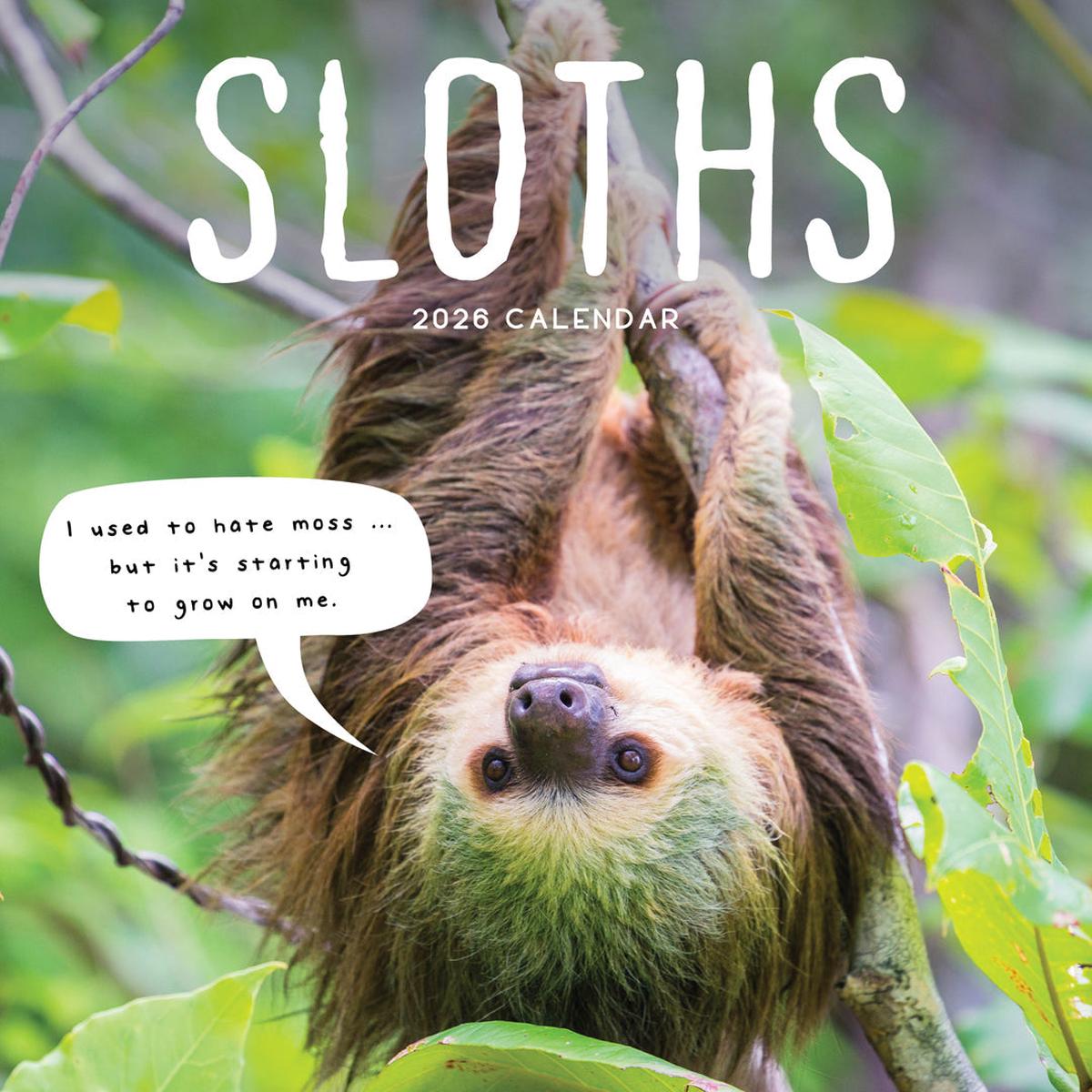 Paper Pocket Sloths 2026 Calendar