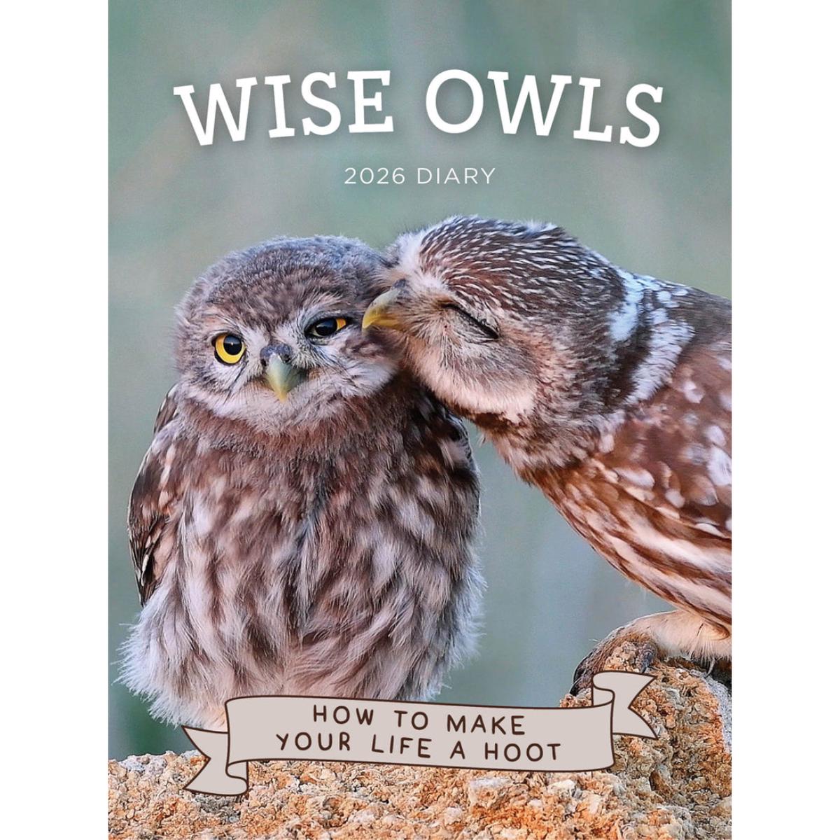 Paper Pocket Wise Owls 2026 Diary