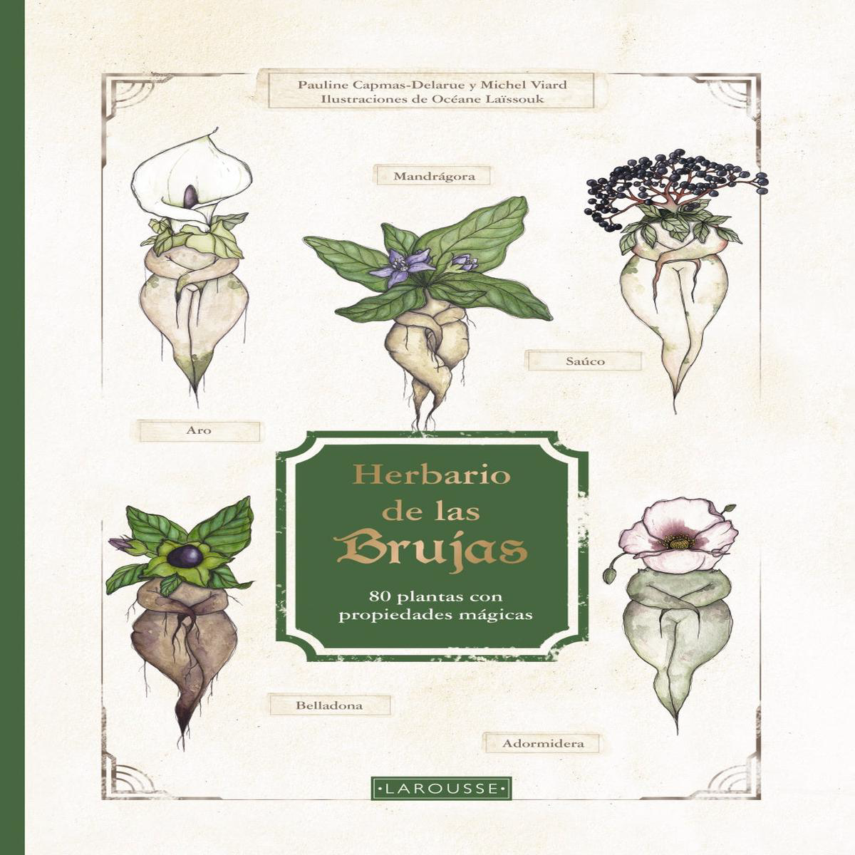 HERBARIO DE LAS BRUJAS 8211 Pauline Capmas Delarue Michel Viard