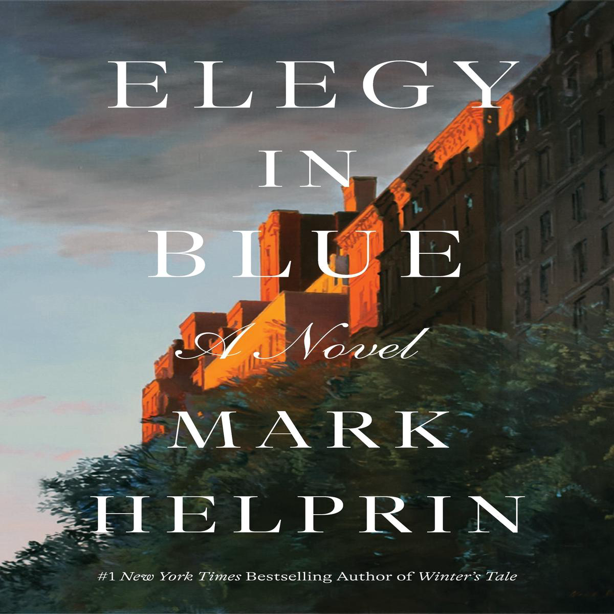 Elegy in Blue 8211 A Novel (Hardback)