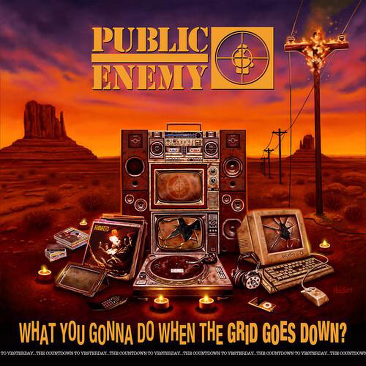 What You Gonna Do When The Grid Goes Down - Vinyl LP