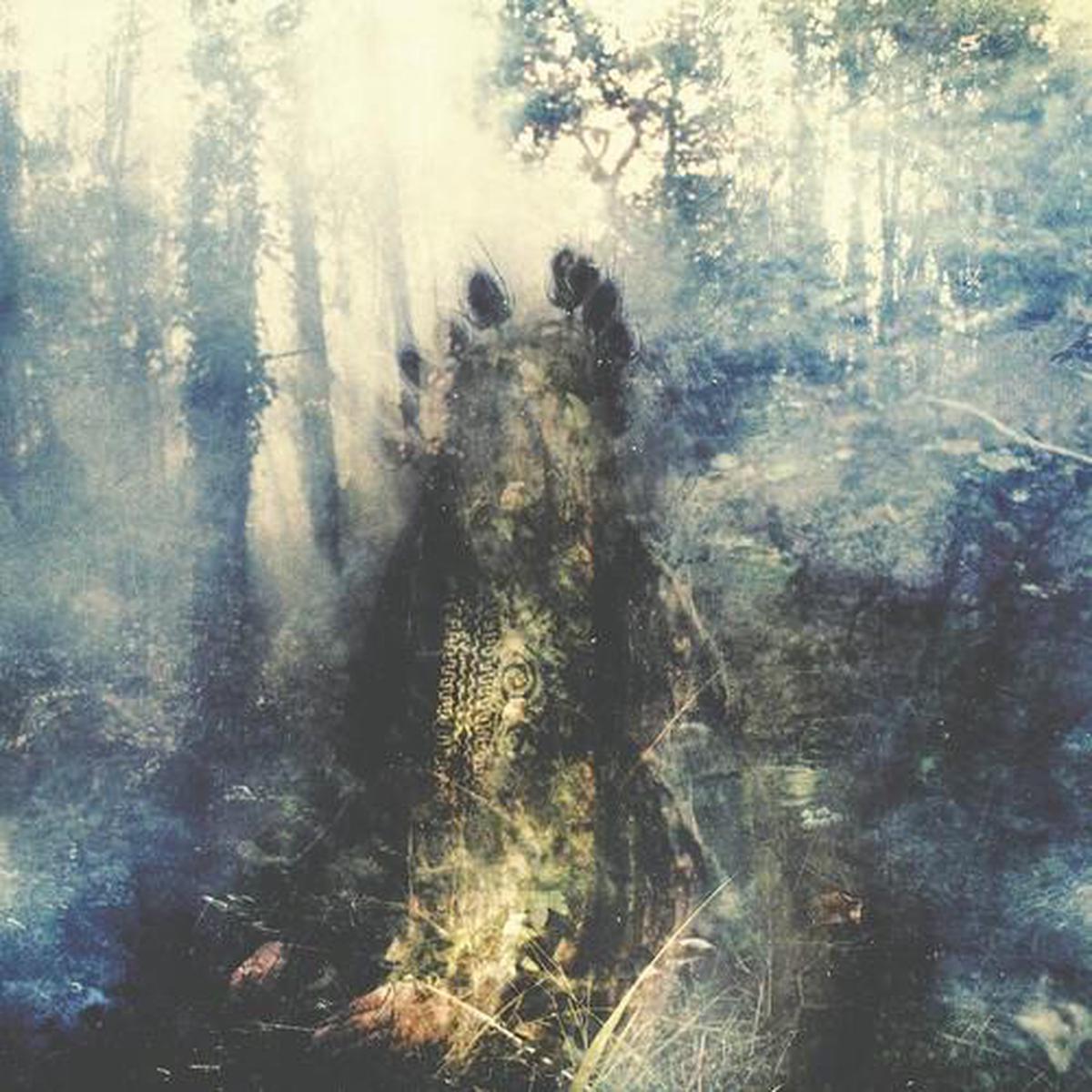 Wistful - Limited Edition Vinyl LP
