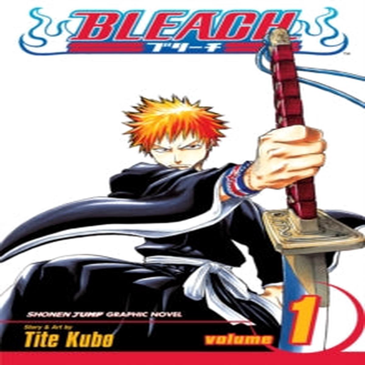 Bleach Vol 1 Strawberry and the Soul Reapers Tite Kobu