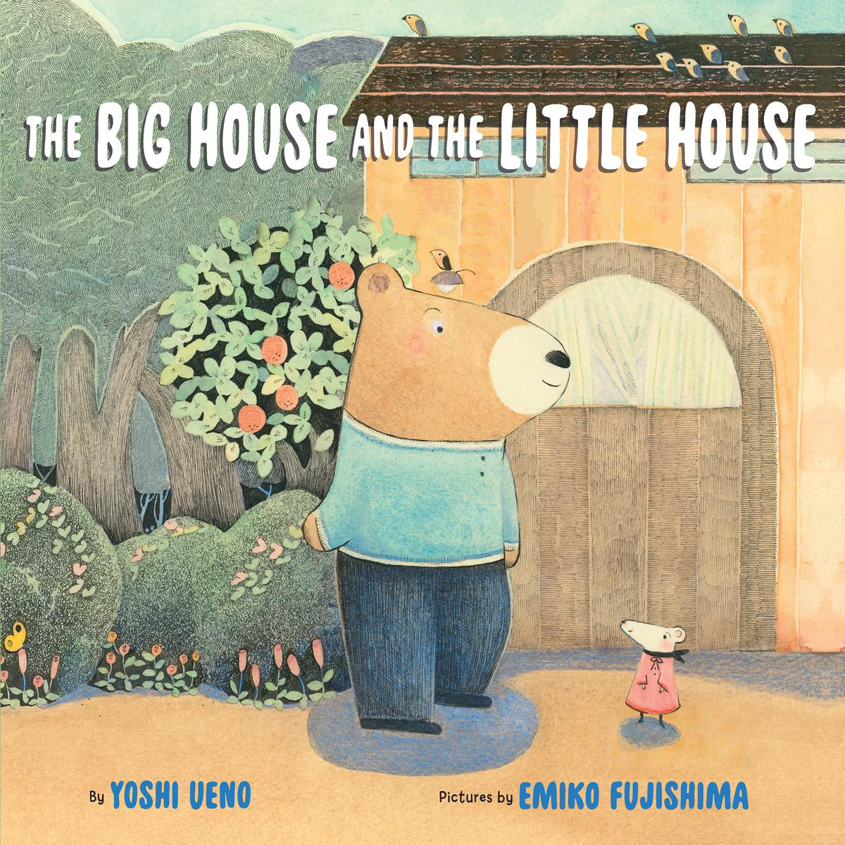 The Big House and the Little House (Hardback)