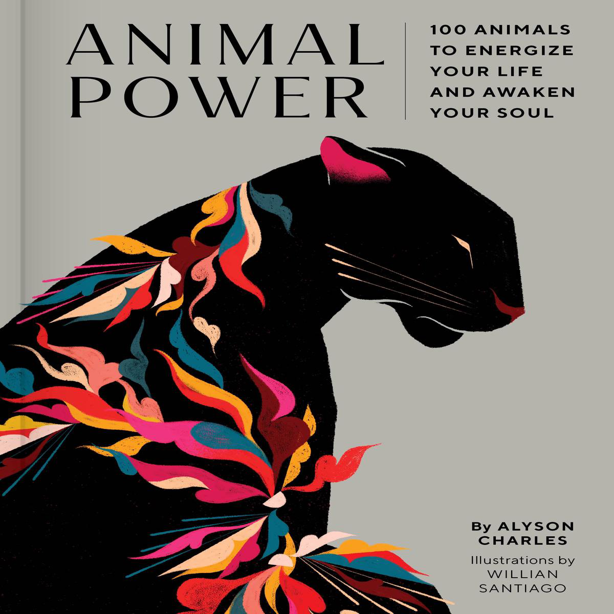 Animal Power 8211 100 Animals to Energize Your Life and Awaken Your Soul (Hardback)