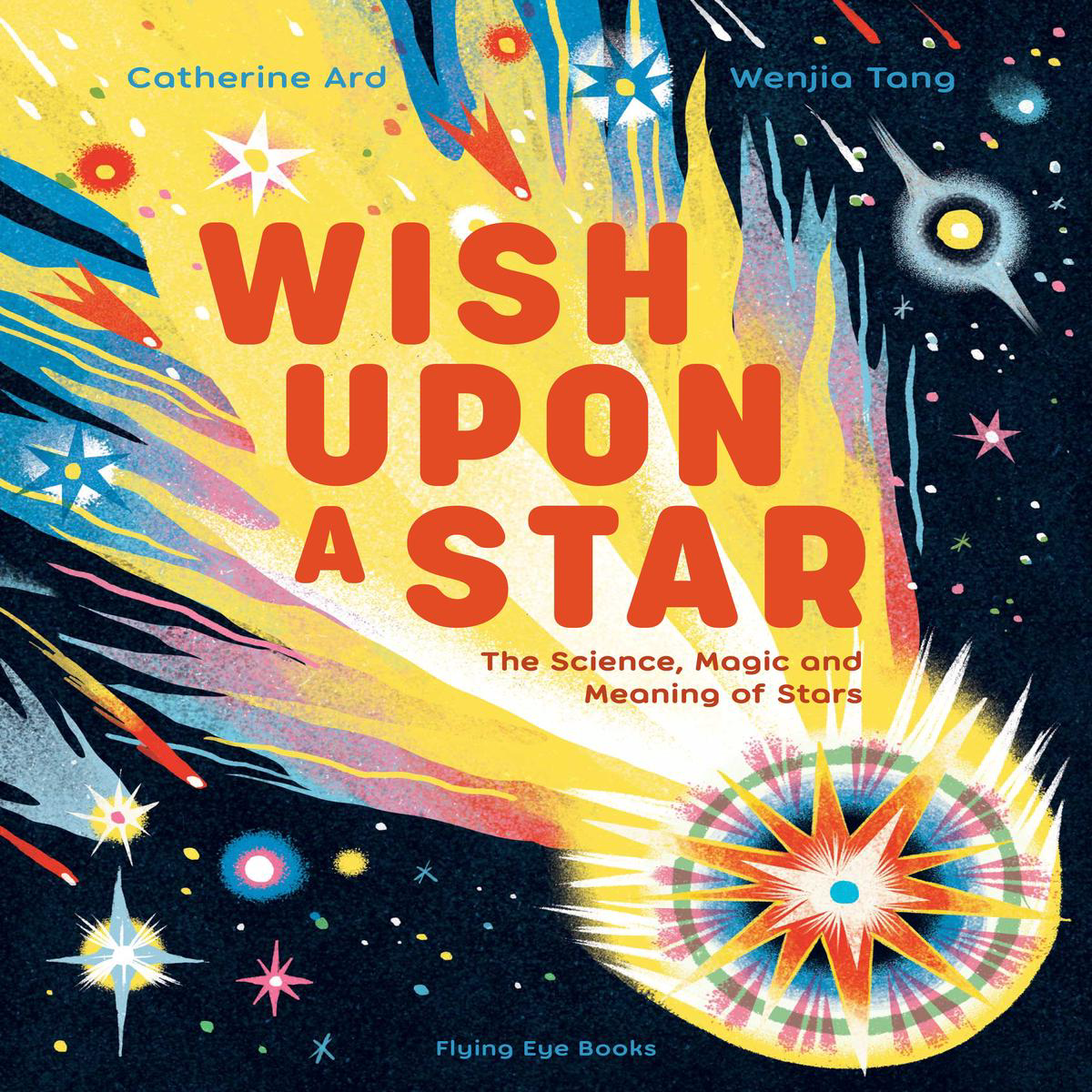 Wish Upon a Star The Science Magic and Meaning of Stars (Hardback)