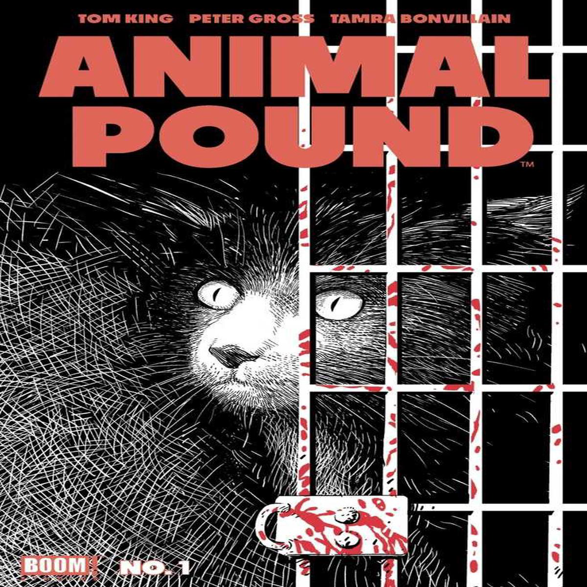 Animal Pound 1 (Of 4) 2nd Print (Mature) (2024) Boom Studios Comics