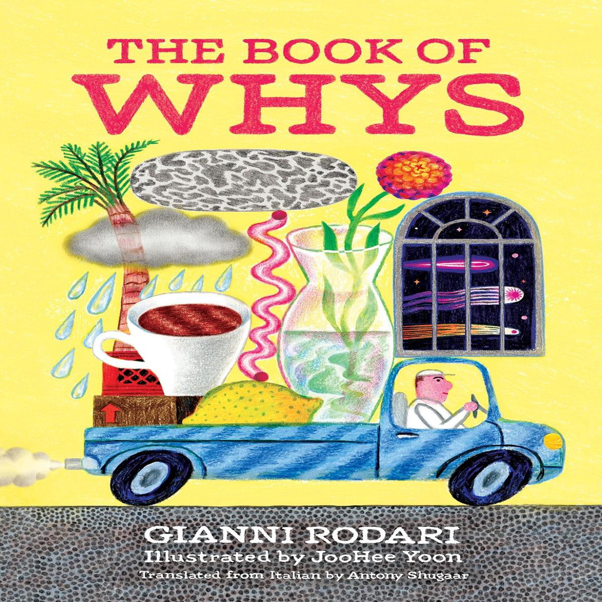 The Book of Whys (Hardback)