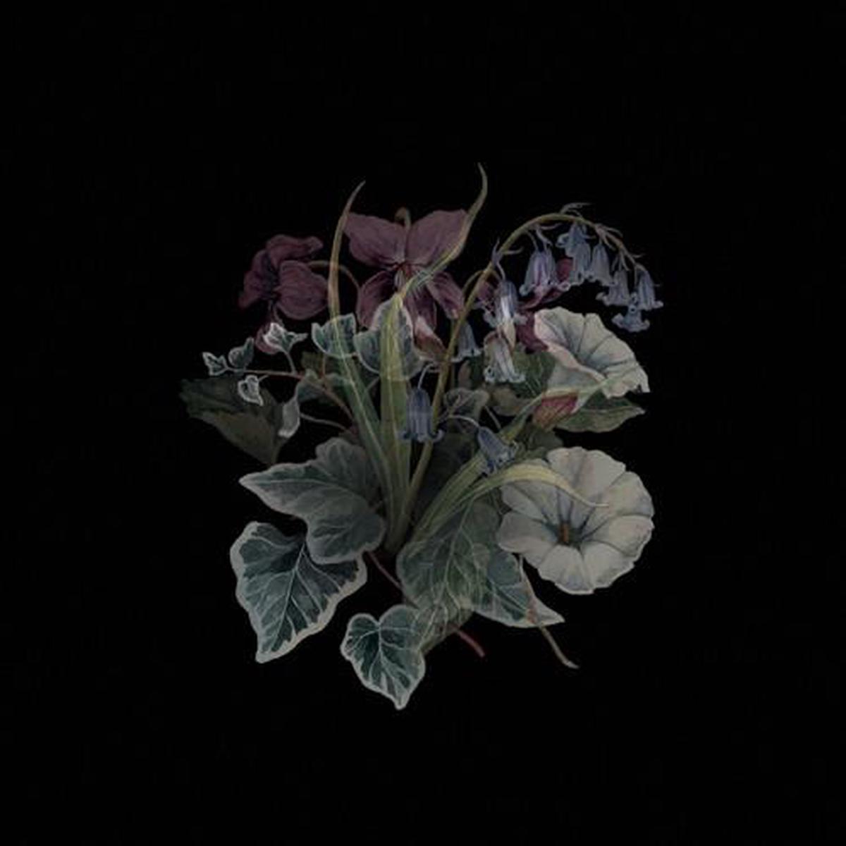 Wildflowers - Limited Edition Vinyl LP (Black)