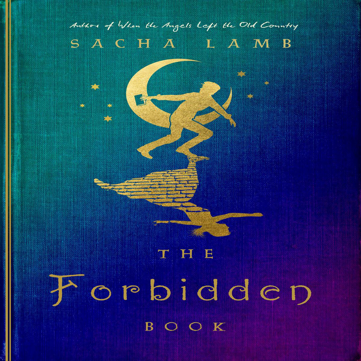 The Forbidden Book (Hardback)