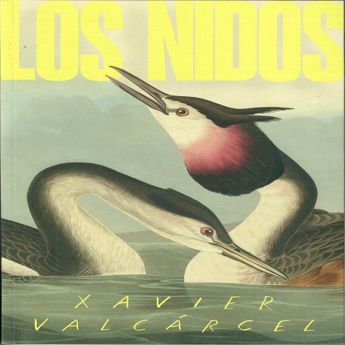 LOS NIDOS 8211 Xavier Valcrcel