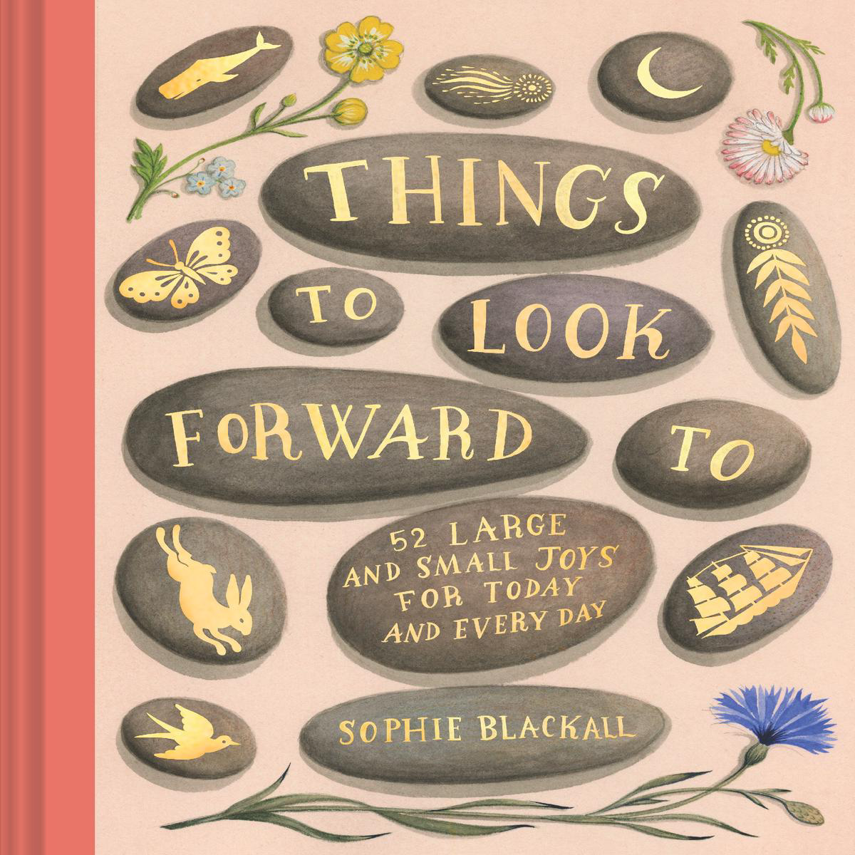 Things to Look Forward To 8211 52 Large and Small Joys for Today and Every Day (Hardback)