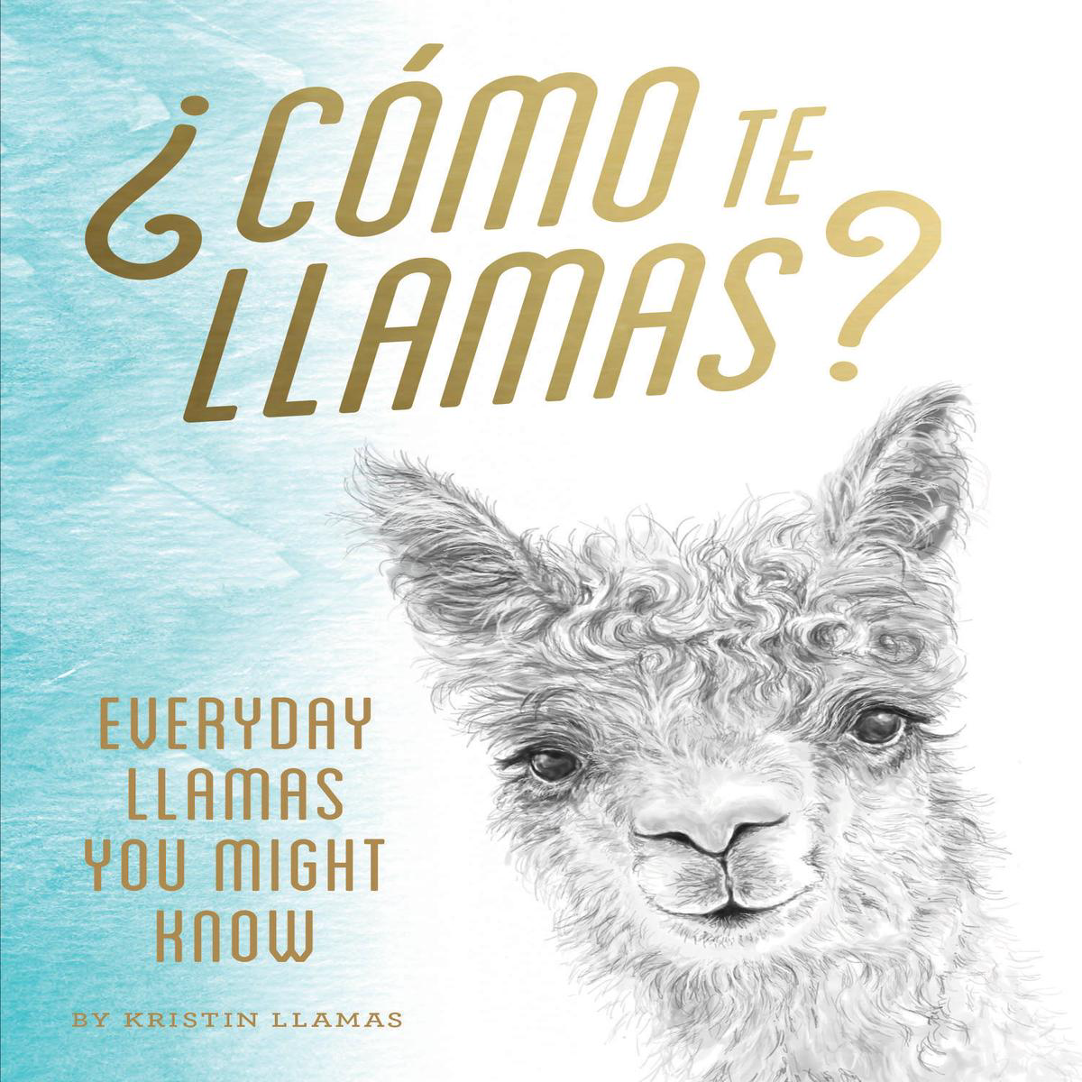 Como te Llamas 8211 Everyday Llamas You Might Know (Hardback)