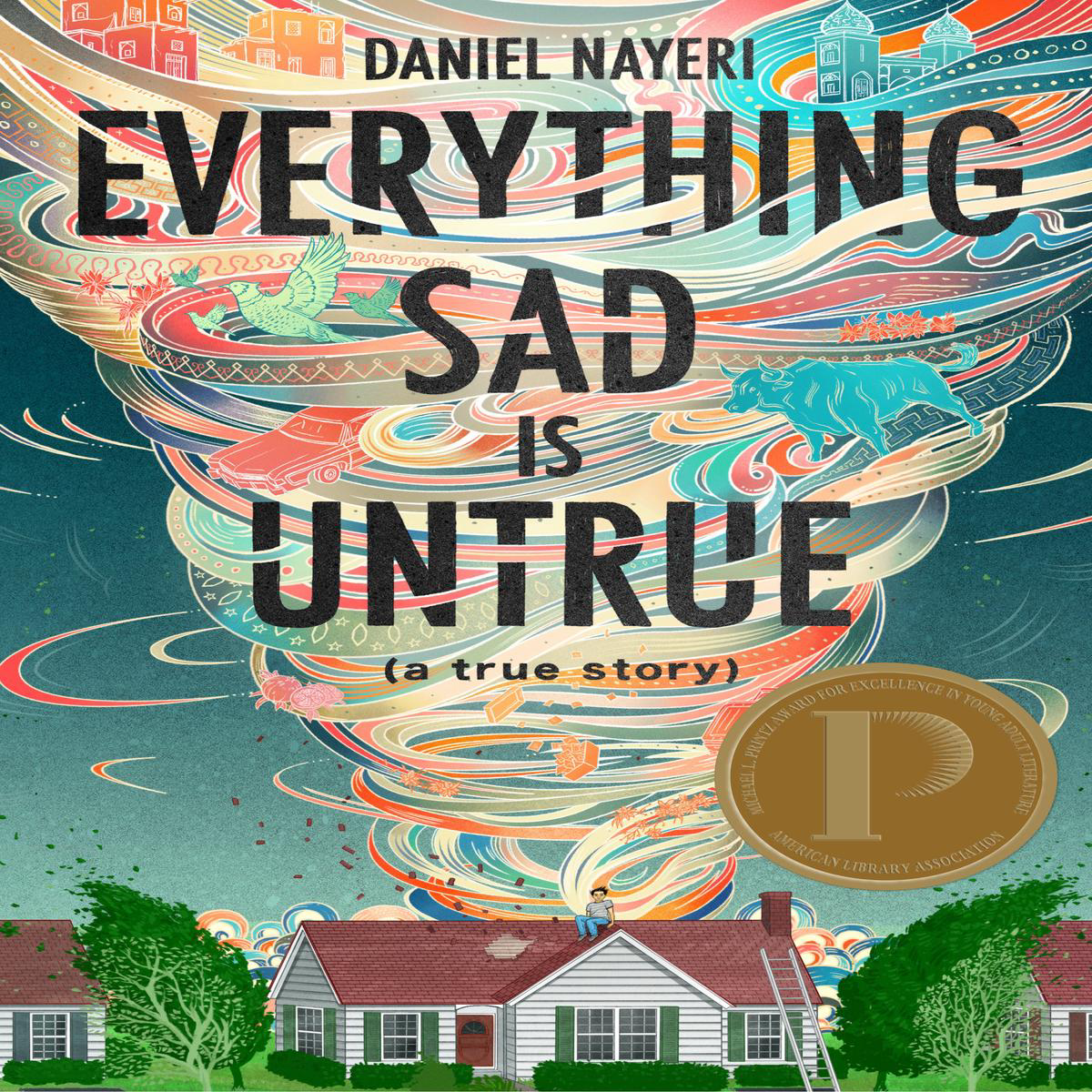 Everything Sad Is Untrue (Hardback)