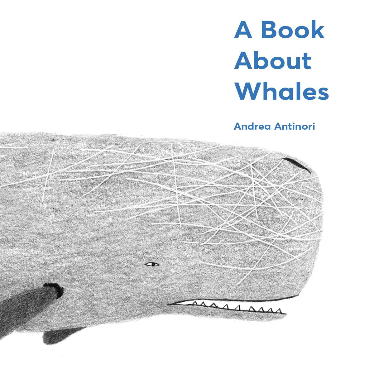 A Book About Whales (Hardback)